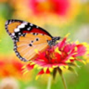 Meet your Posher, Karin